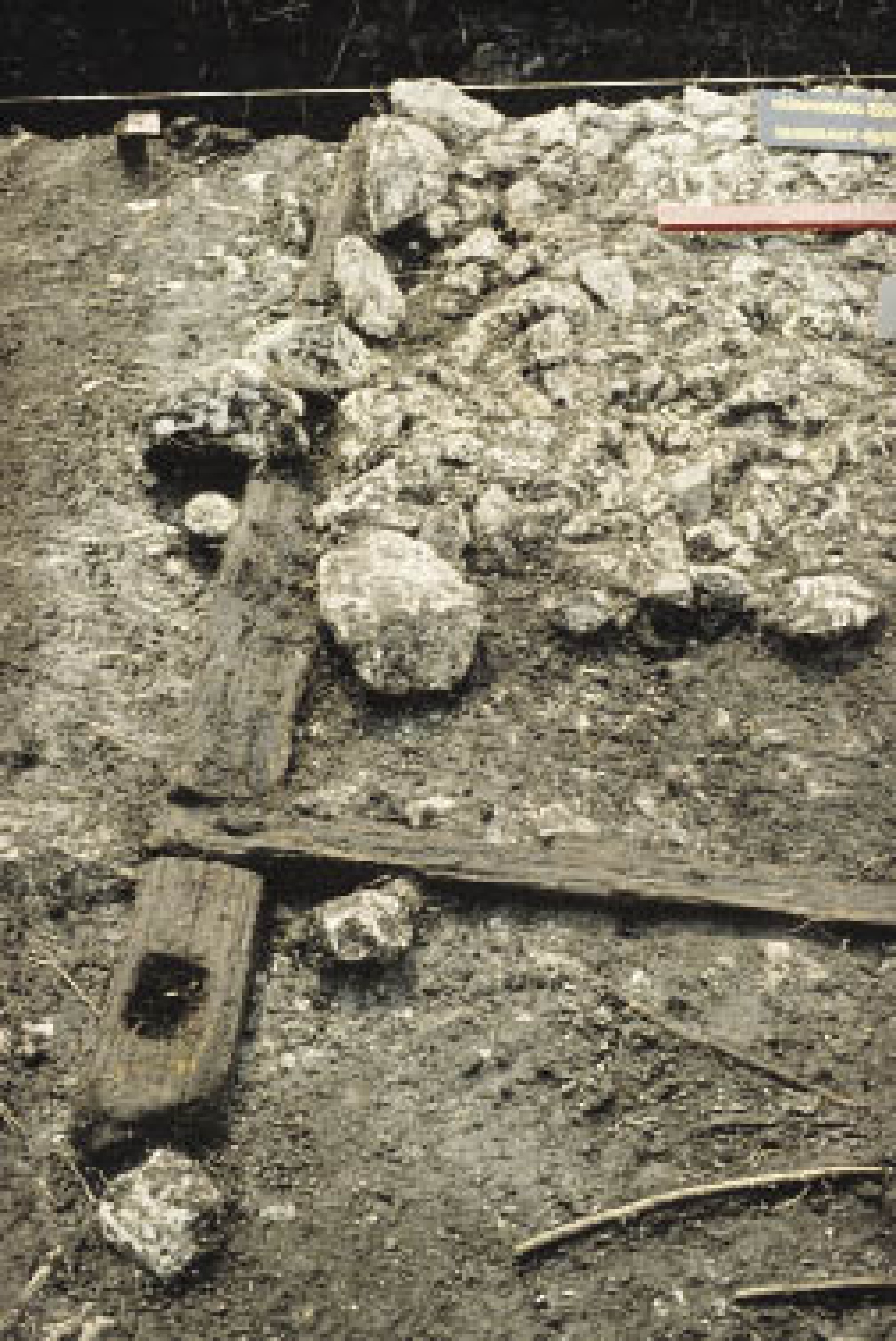 : Die Gewerbesiedlung im Ramsautal am Dürrnberg wurde, ebenso wie die Siedlung der Jüngeren Eisenzeit in Hallstatt, in sumpfigem Terrain angelegt. Daher haben sich auch hier die untersten Lagen (Schwellbalken) der Holzhäuser erhalten. (Bild: ÖFD Zeller)
