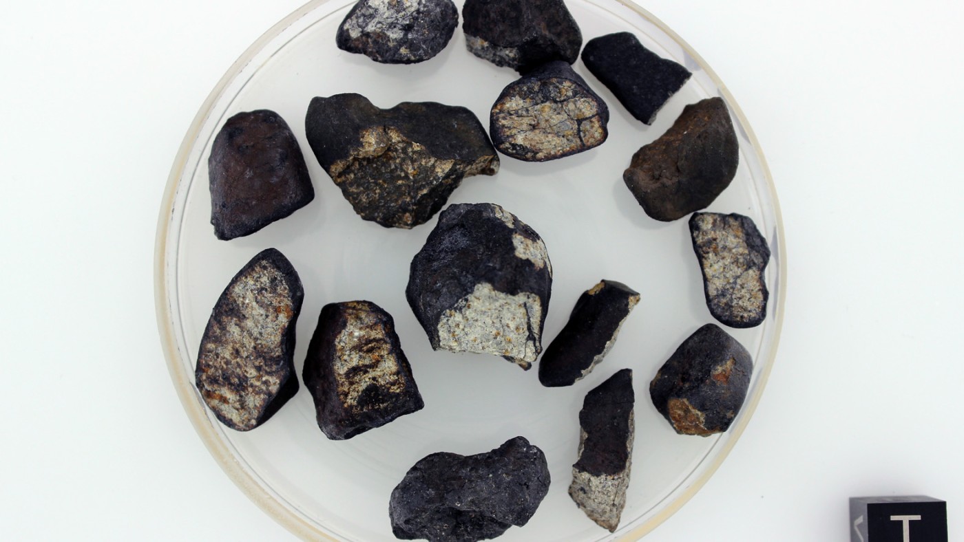 Multiple differently shaped fragments of the Chelyabinsk meteorite in a shallow glass dish, next to a scale cube
                                 labeled 'T 1 CM'. (AI-generated alt-text, generated with GPT-4.1-mini)