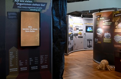 : (c) NHM Wien, Chloe Potter