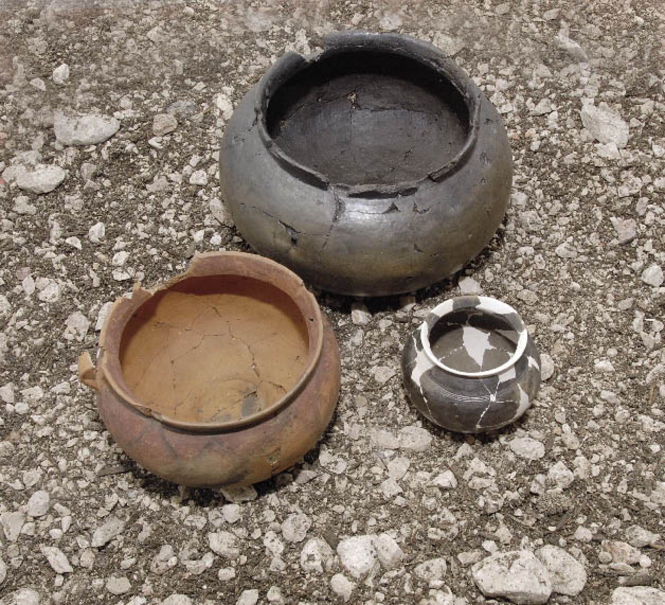 : Grab N24 – eine der seltenen Urnenbestattungen im Gräberfeld (Keramik in fertig restauriertem Zustand) (Foto: A. W. Rausch - NHM Wien)