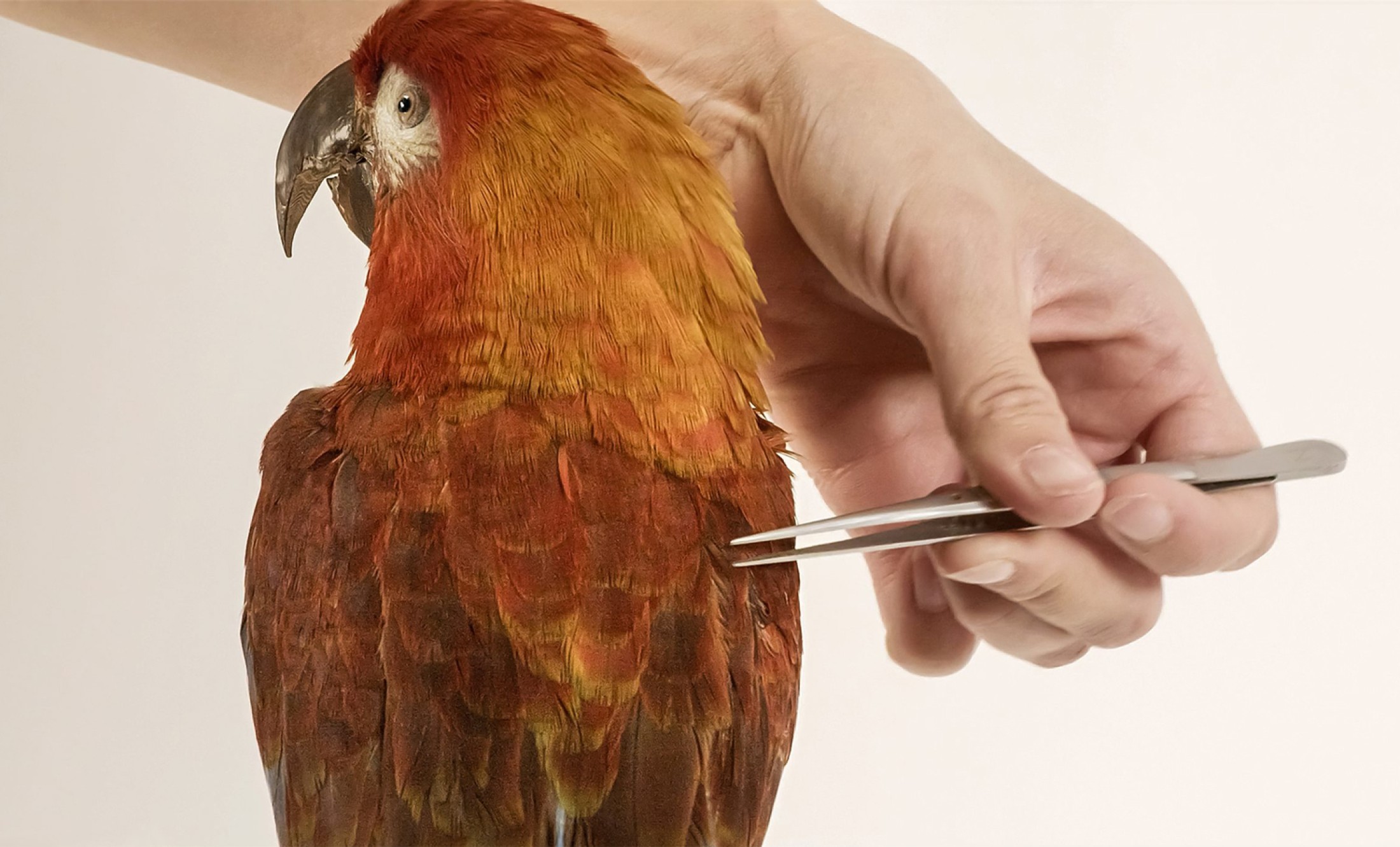 : © Stadtkino Filmverleih