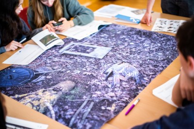 : Workshop „Wildlife Crime in Österreich” mit Artenschutzexpert*innen des WWF Österreich und BirdLife Österreich