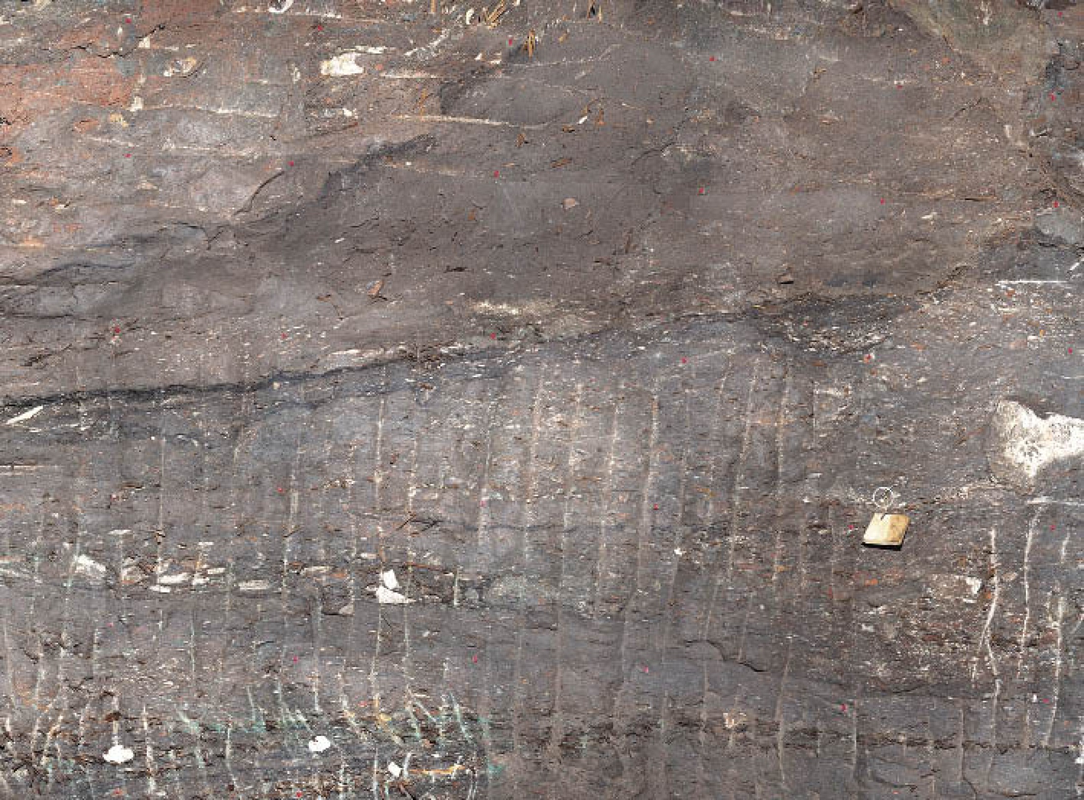 : Das Heidengebirge der Hallstattzeit besteht aus wieder verfestigtem Hauklein, das beim Schrämmen der "Salzherzen" anfiel. Es weist einen besonders hohen Anteil an reinem Steinsalz, dem sogenannten Kernsalz, auf und wird daher als "kerniges Heidengebirge" bezeichnet. (Foto: A. W. Rausch - NHM Wien)