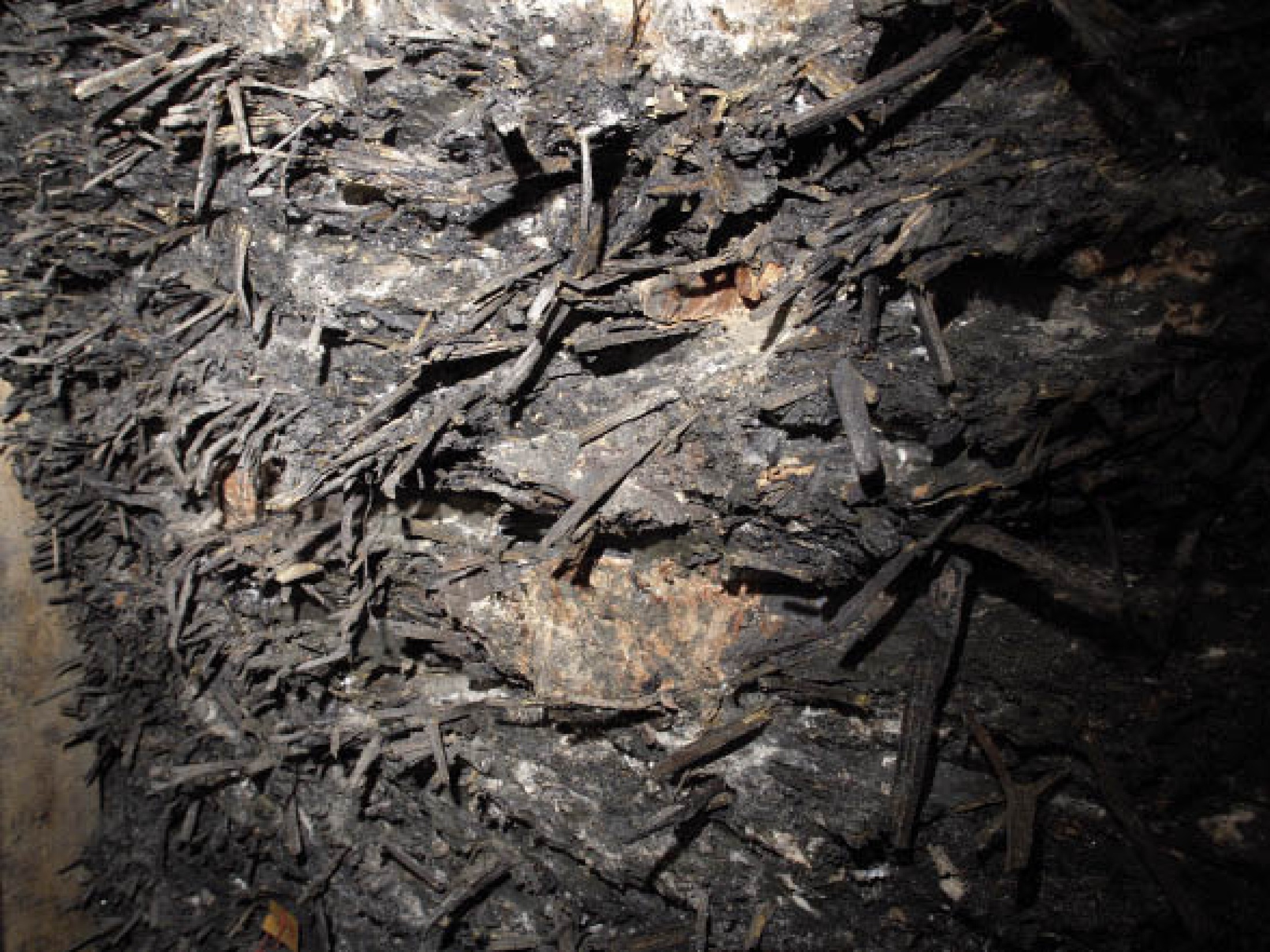 : Betriebsabfall (Heidengebirge) des bronzezeitlichen Salzabbaus, der fast nur aus abgebrannten Leuchtspänen und gebrochenem Werkzeug besteht. Salz wurde im bronzezeitlichen Bergwerk nicht zurückgelassen. (Foto: A. W. Rausch - NHM Wien)