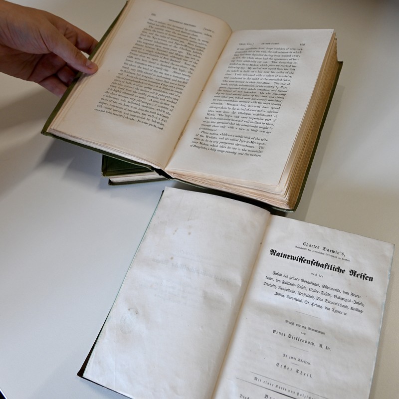 : ©NHM Wien; Chloe Potter