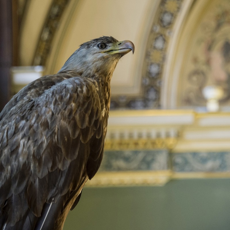 : (C) NHM-Wien/Kracher