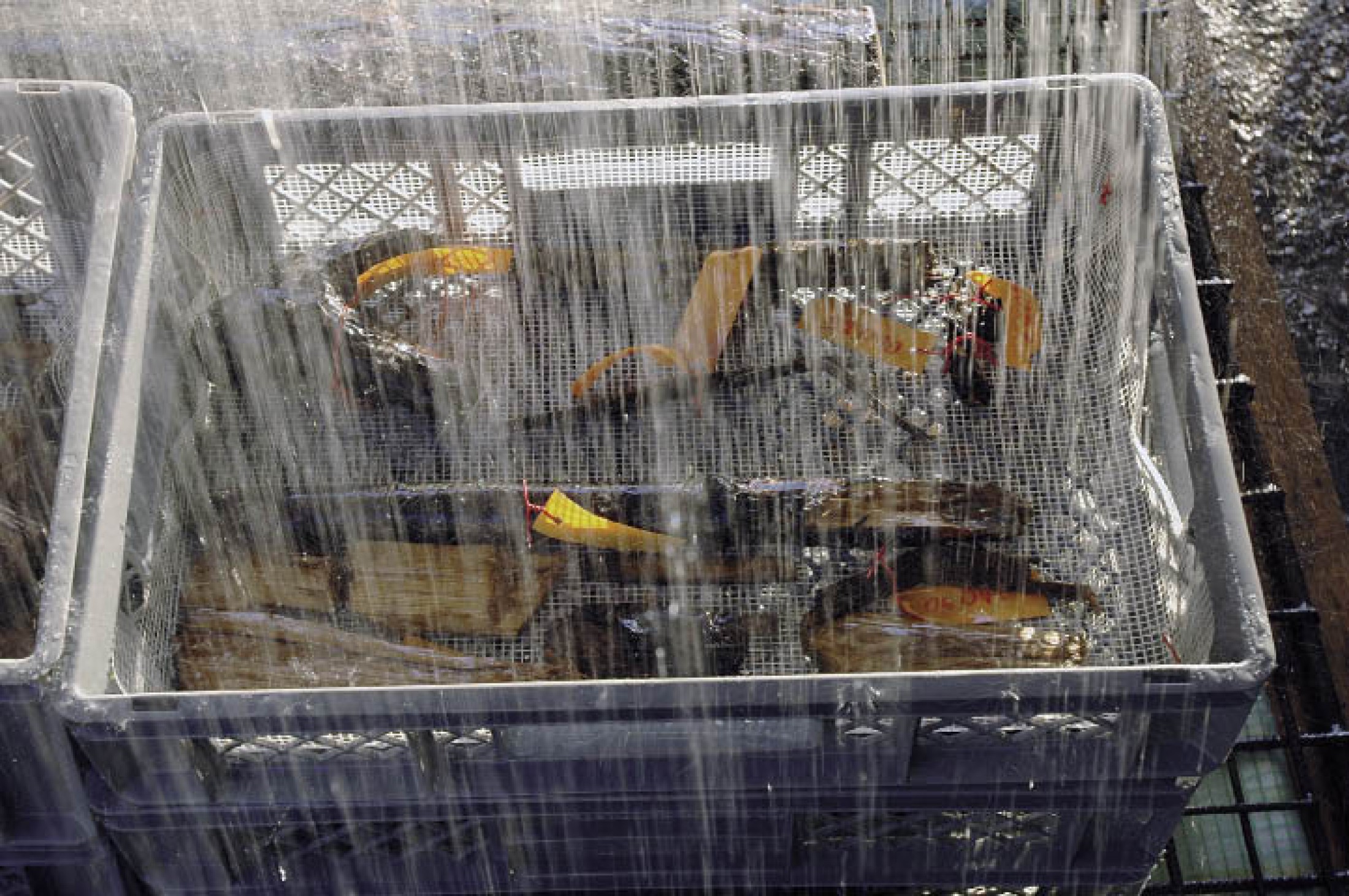 : Funde aus dem Bergwerk beim Entsalzen. (Foto: A. W. Rausch - NHM Wien)