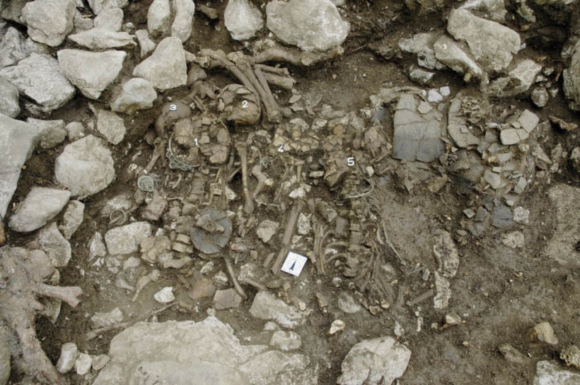 : Dass die Gräber auf dem Dürrnberg in der Regel über längere Zeit genutzt wurden, lässt sich an den dicht neben- und übereinander liegenden Bestattungen ablesen. Die archäologischen Forschungen auf dem Dürrnberg dauern an und werden vom Österreichischen Forschungszentrum Dürrnberg betrieben (Grab 378, 2007). (Bild: ÖFD, Moser)