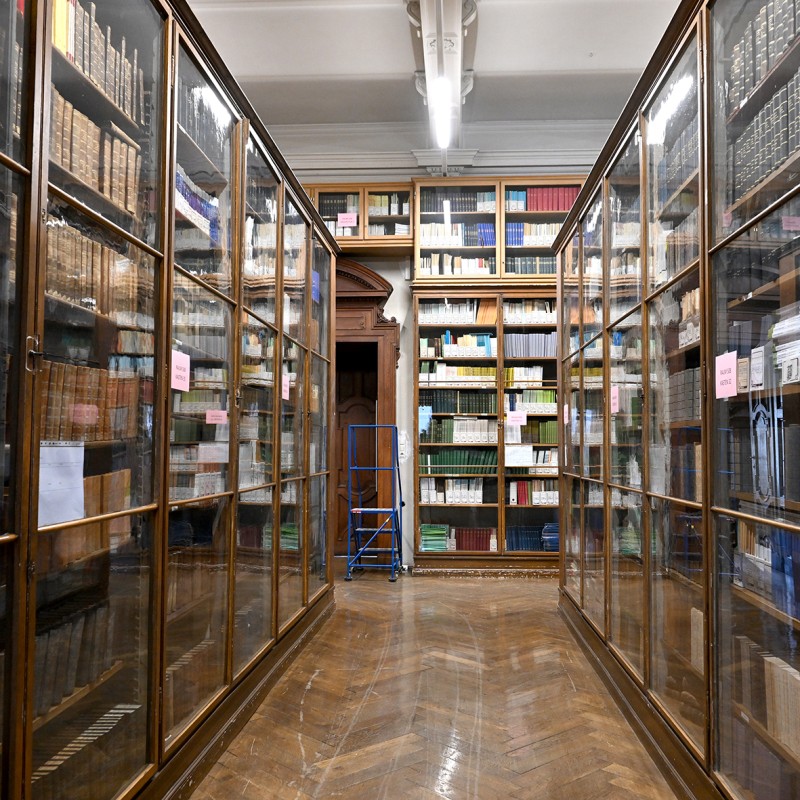 : ©NHM Wien; Chloe Potter