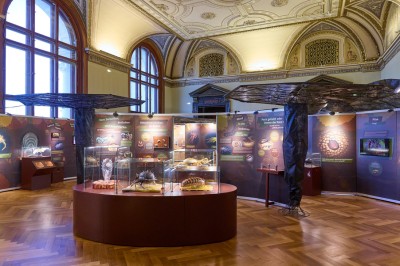 : © Naturhistorisches Museum Wien/APA-Fotoservice/Schedl