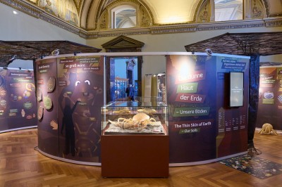 : © Naturhistorisches Museum Wien/APA-Fotoservice/Schedl