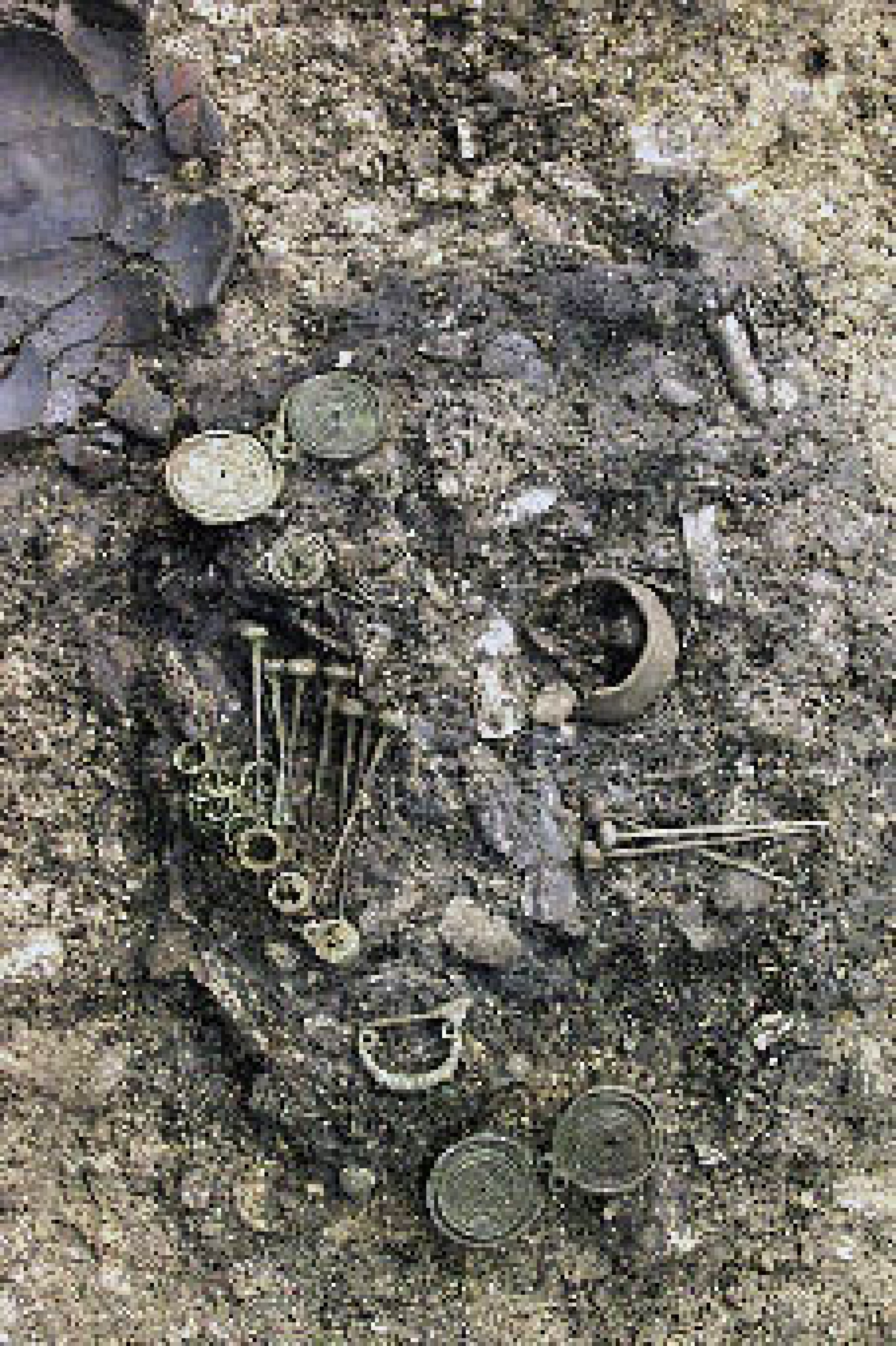 : Eine reiche Brandbestattung mit zahlreichen Proviantgefäßen, sowie Schmuck- und Trachtbeigaben. (Foto: PA NHM)