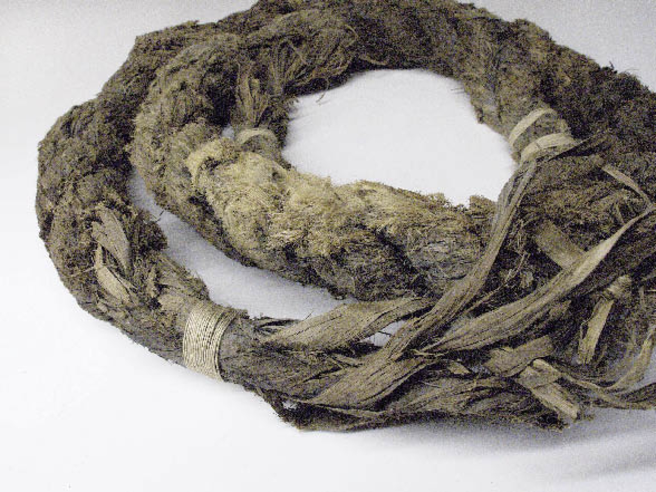 : Bei diesem Lindenbastseil aus dem Christian von Tuschwerk handelt es sich höchstwahrscheinlich um das Förderseil im bronzezeitlichen Schacht. (Foto: A. W. Rausch - NHM Wien)