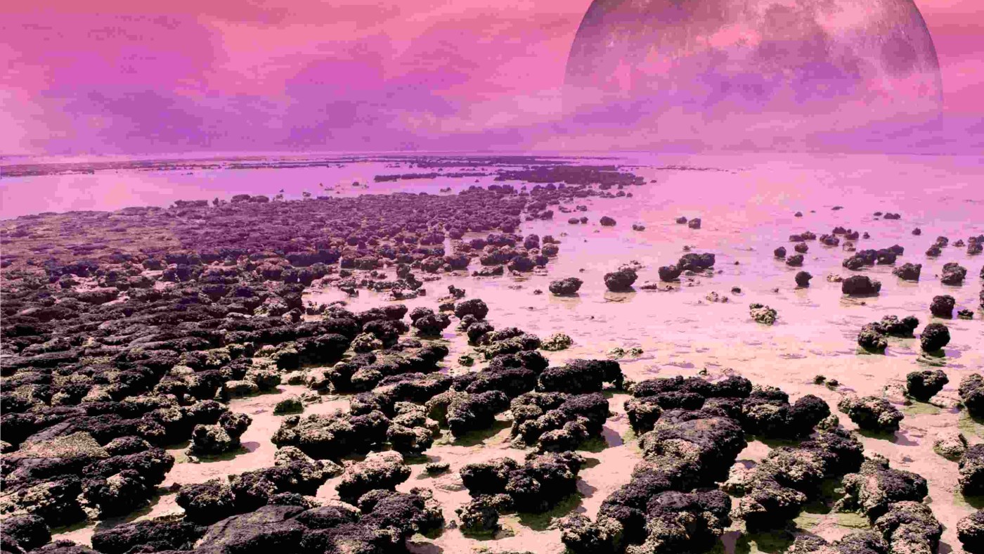 : Sea coast with stromatolites more than 2 billion years ago. Methane colored the early oxygen atmosphere pink. The Moon was closer to the Earth than it is today.
© NHM Vienna, Mathias Harzhauser