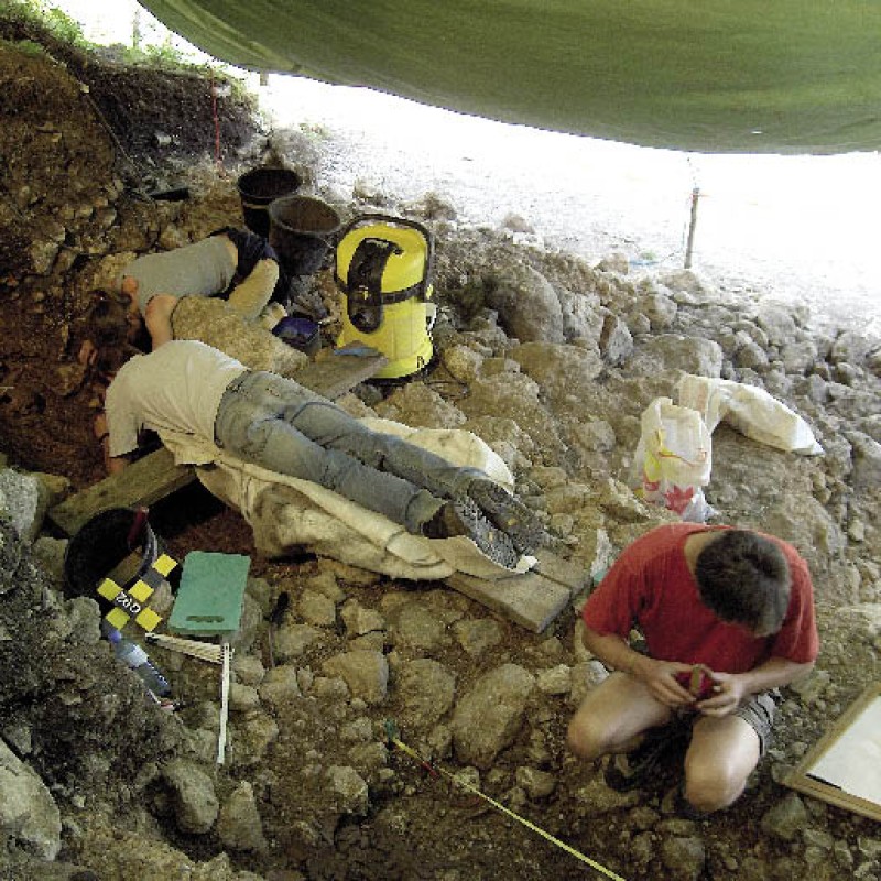 : Arbeitsfoto der Ausgrabungen bei der „Steinbewahrersölde“ 2007 © PA NHM Wien