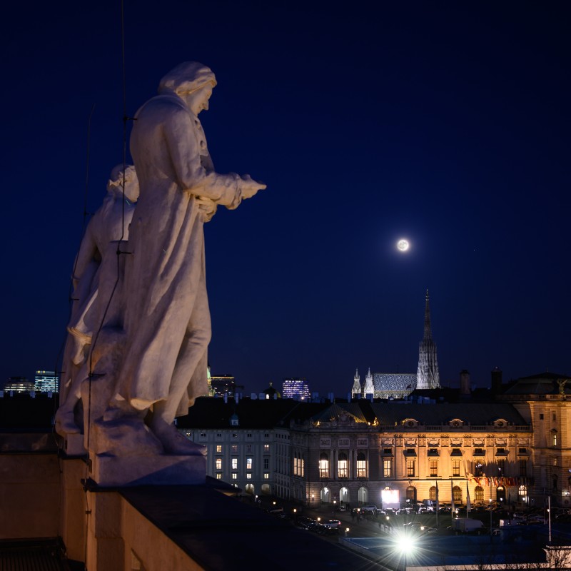 : © NHM Wien, Christina Rittmannsperger