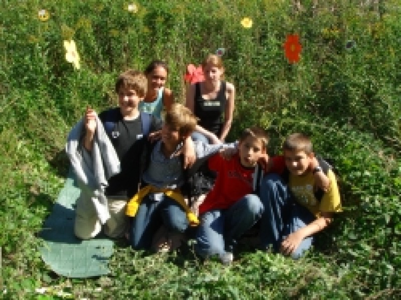 Beobachten, entdecken, bestimmen, Spass haben und die Natur erleben