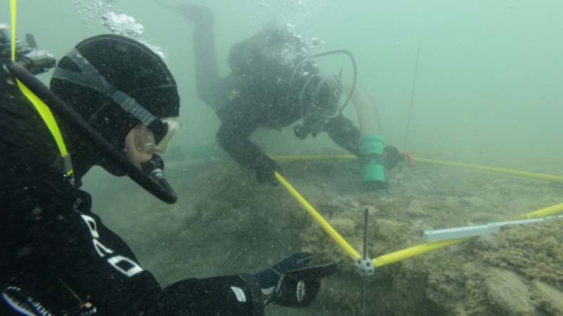 ArchäologInnen bei der Arbeit unter Wasser. (Bild: Kuratorium Pfahlbauten)