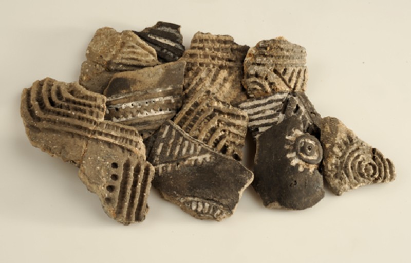 Funde aus Pfahlbausiedlungen. (Bild: Kuratorium Pfahlbauten)